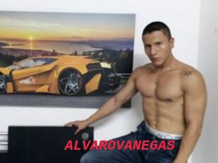 ALVAROVANEGAS