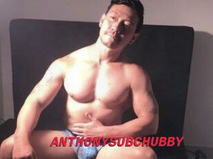 ANTHONYSUBCHUBBY