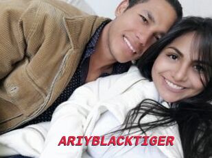 ARIYBLACKTIGER