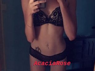 AcaciaRose