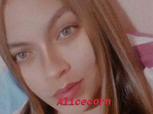 Alicecorn