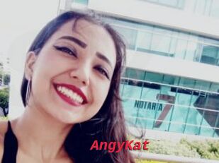 AngyKat