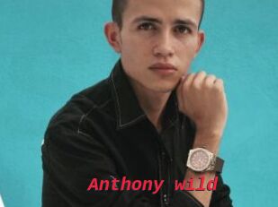 Anthony_wild