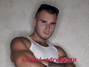 Antoni_adrenal1n