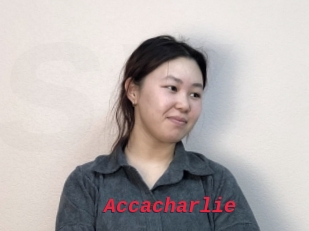 Accacharlie