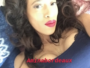 Aminabordeaux