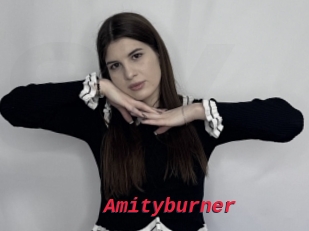 Amityburner