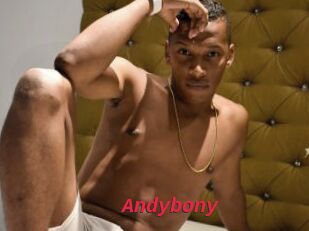 Andybony