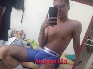 Andypolla