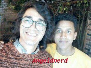 Angeldnerd