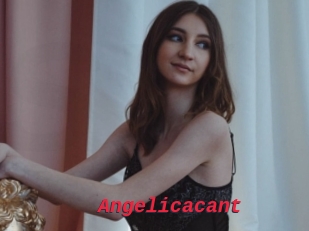 Angelicacant