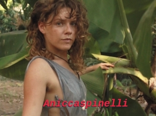 Aniccaspinelli