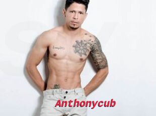 Anthonycub