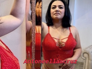 Antoneellaacruz