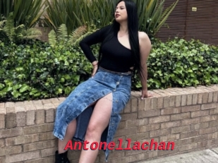 Antonellachan