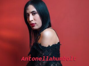 Antonellahumbolt