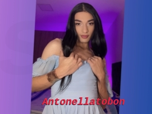 Antonellatobon