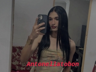 Antonellatobon