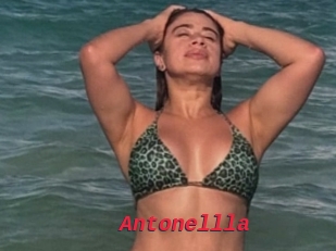 Antonellla