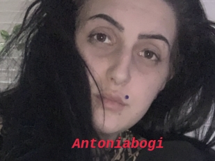 Antoniabogi