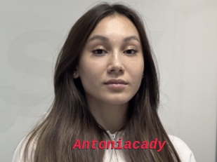 Antoniacady