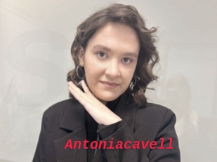 Antoniacavell