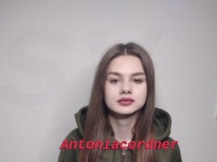 Antoniacordner