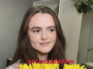 Antoniadudley