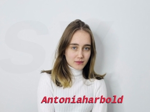 Antoniaharbold