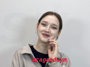 Aragoodwyn