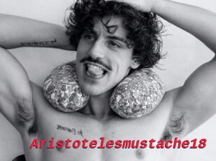 Aristotelesmustache18