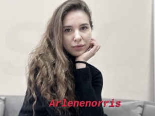 Arlenenorris