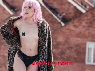 Asshleyrose