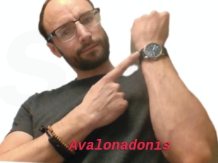 Avalonadonis