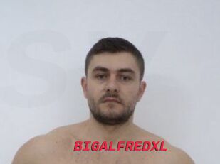 BIGALFREDXL