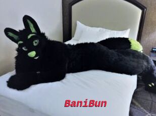 BaniBun