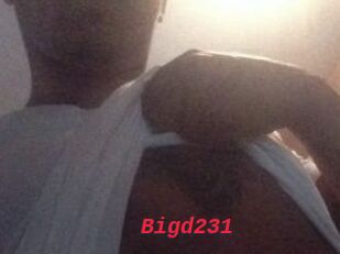 Bigd231