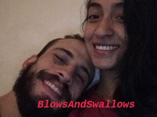 BlowsAndSwallows