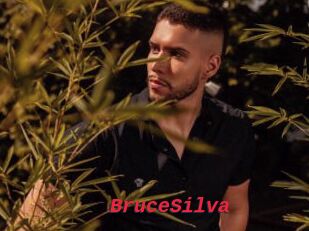 BruceSilva