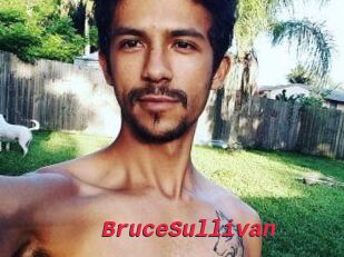 Bruce_Sullivan