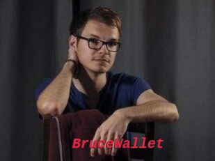 BruceWallet