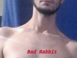 Bad_Rabbit