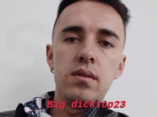 Big_dicktop23