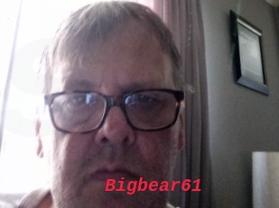 Bigbear61