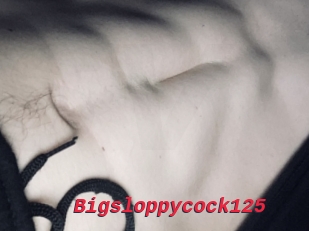 Bigsloppycock125