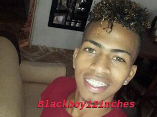 Blackboy12inches