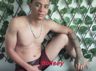 Bodsey