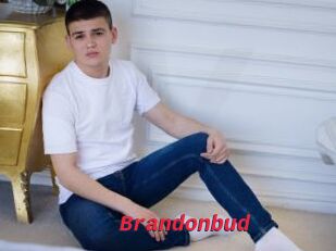 Brandonbud