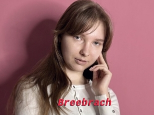 Breebrach