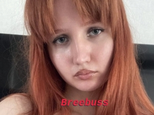 Breebuss